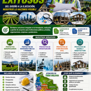 PROYECTOS DE INVERSION